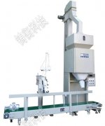 ���۶������b���ۃr